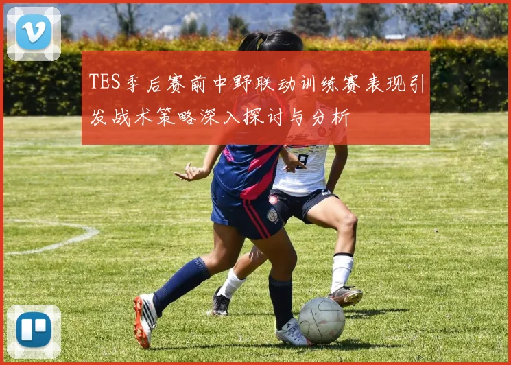 TES季后赛前中野联动训练赛表现引发战术策略深入探讨与分析
